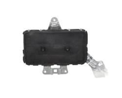 Door airbag