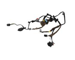 Rear door wiring loom