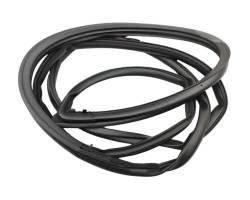 GUARNIZIONI PORTIERE TOYOTA Rav4 2° Serie TY- 6786142041 1CDFTV (00>03)