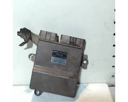 Unité / module de commande d'injection de carburant