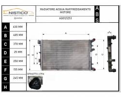 6Q0121253 RADIATORE ACQUA VOLKSWAGEN Fox 1° Serie 1400 Diesel 51 (2006) RICAMBI USATI