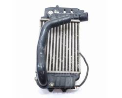 JD127000-0930 INTERCOOLER TOYOTA Urban Cruiser 1° Serie 1ND-TV (2010) RICAMBI USATI