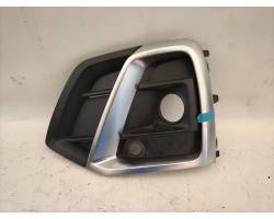 GRIGLIA RADIATORE ANT SX AUDI Q5 Serie (FYB) 80A807679AGCOX (17>)
