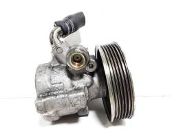 POMPA IDROGUIDA FIAT Doblo Serie 51869236 199 A3.000, 263 A2.000 Diesel 1300 (09>)