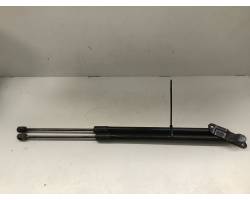 Tailgate strut