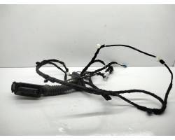 Front door wiring loom