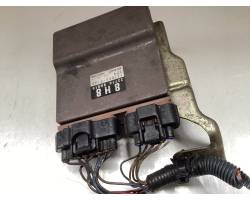 Unité / module de commande d'injection de carburant