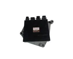 Unité / module de commande d'injection de carburant
