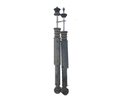 COPPIA AMMORTIZZATORI RENAULT Twingo II serie 562109412R (07>14)