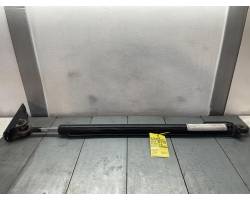PISTONE ALZA CABINA MAN TGA Serie 18.510 (00>07)