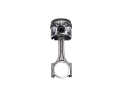 Piston ring