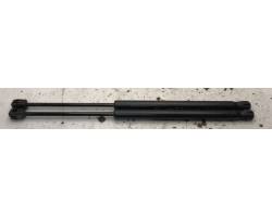 Rear window gas strut