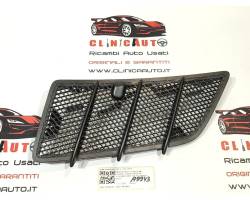Grille de capot