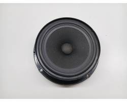 Rear door speaker