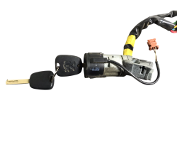BLOCCASTERZO CITROEN C3 1° Serie N0501413 (02>05)