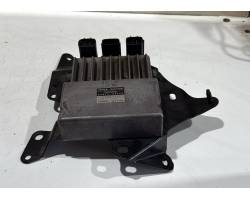 Unité / module de commande d'injection de carburant