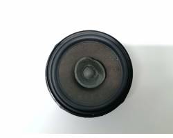 Rear door speaker