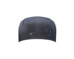 COFANO ANTERIORE FIAT Sedici 1° Serie 71742873 D19AA (06>09)