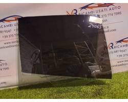 Rear door window