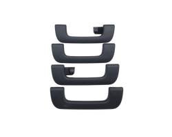 Roof grab handles