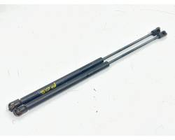 PISTONCINI COFANO POST. FORD Focus Berlina 3° Serie 1321021 (04>08)