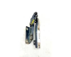 Hood hinges