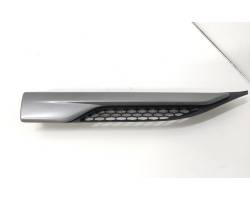 Fender grille