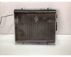 RADIATORE ACQUA PEUGEOT 2008 1° Serie 873460200 BH02 Diesel 1600 (13>)