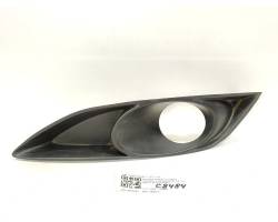 Front fog light grill