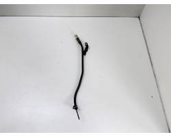 ASTINA LIVELLO OLIO MOTORE PEUGEOT 208 Serie 981766568001 Benzina 1.2 (12>19)