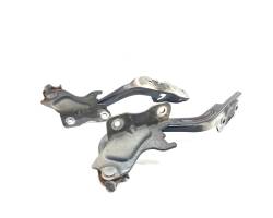 CERNIERE COFANO ANTERIORE DX E SX SUZUKI Swift 4° Serie 5742063J00000 (04>10)