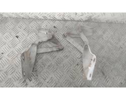 CERNIERE COFANO ANTERIORE DX E SX IVECO Daily 35C15 Serie (01>04)