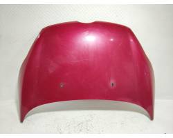 COFANO ANTERIORE FORD Fiesta 6° Serie 1774791 (08>17)