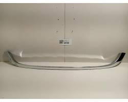 Engine hood trim