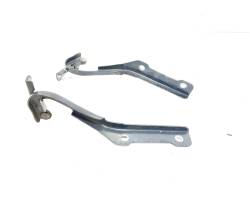 CERNIERE COFANO ANTERIORE DX E SX NISSAN Pixo 1° Serie 654114A00H (09>13)