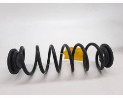 Coil spring rubber mount