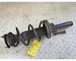 AMMORTIZZATORE ANTERIORE SINISTRO FORD Transit Serie (06>14)