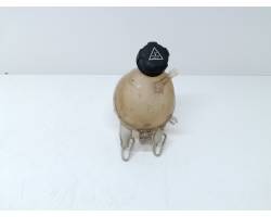 Coolant expansion tank
