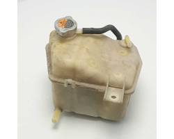 Fuel expansion tank