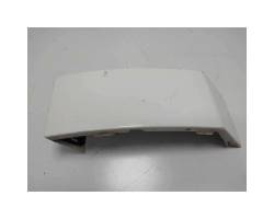 Rear light trim molding