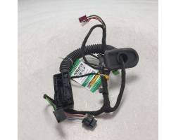 Rear door wiring loom
