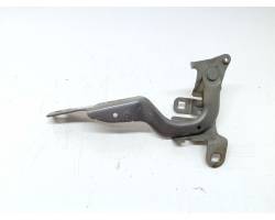 Hood hinges