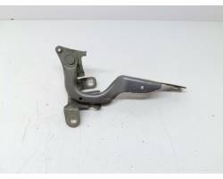 Hood hinges