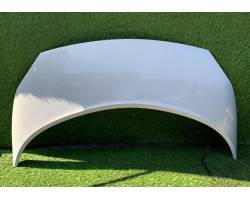 COFANO ANTERIORE RENAULT Scenic 3° Serie 7751474289 (03>06)
