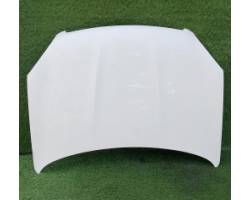 COFANO ANTERIORE NISSAN Qashqai 1° Serie F5100BR0MC (06>09)