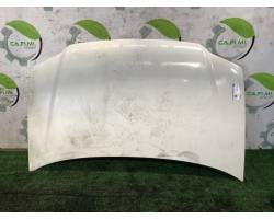 COFANO ANTERIORE VOLKSWAGEN Caddy 3° Serie 1T0823031D (04>10)
