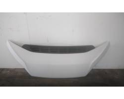 COFANO ANTERIORE FIAT Ducato 6° Serie F1AGL411D (17>21)