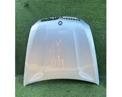 COFANO ANTERIORE BMW X5 Serie (E70) 41617486754 (06>13)