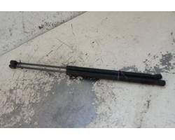 PISTONCINI COFANO POST. FORD Fiesta 6° Serie (08>17)