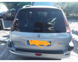 PORTELLONE POSTERIORE COMPLETO PEUGEOT 206 S. Wagon (02>07)